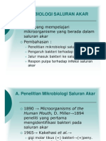 Bo 243 Slide Mikrobiologi Saluran Akar