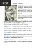 Download Rsum de Candide  description des persos  morale by Beatrice Florin SN13850592 doc pdf