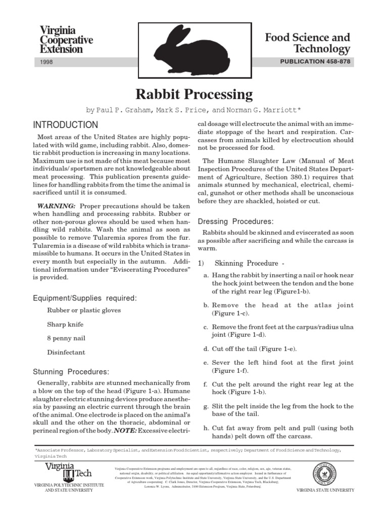 Rabbit Processing PDF
