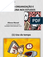 Auto-Organização