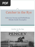 Catcher in the Rye Lit Terms