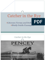 Catcher in The Rye Lit Terms