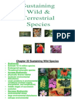 Wild Species and Terrestrial Species Biodiversity