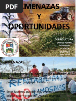 Amenazas y Oportunidades