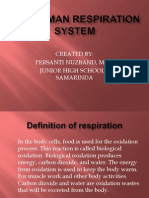 The Human Respiration System