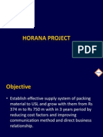 Horana Project Financials