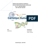 Importancia del cariotipo humano y la herencia genética