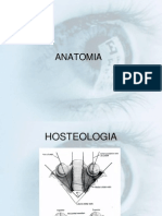 Anatomia