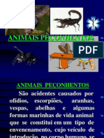 Animais Peçonhentos