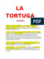 La Tortuga Charapa