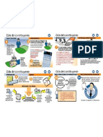 Ciclo Del Contribuyente