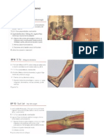 Puntos Tratamiento Miomas