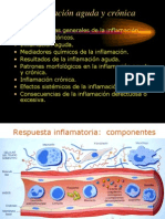 Inflamación Aguda y Crónica