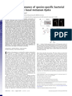 hydra_symbionts.pdf