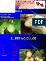 Cultivos Andinos Clase 15 Pepino Dulce