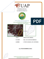 Características Físicas y Fisiográficas Del Sector de Chiquian de La Cuenca Del Rio Santa