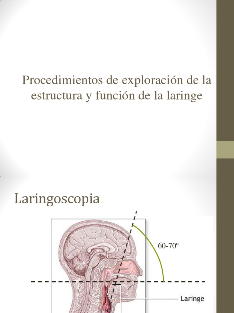 Tema 3. Laringos | PDF | Vocal | Armónico