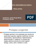 Fisioterapia Uroginecologica