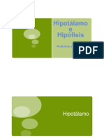 Hipotalamo e Hipofisis