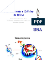 splicing of rnas