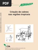 07-p-CRIAÇAO DE CABRAS