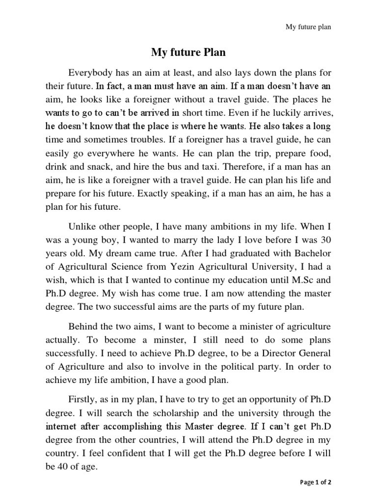 My Financial Plan For The Future Essay INKSTERSCHOOLS ORG