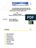 Nadeem MSc-Thesis Presentation