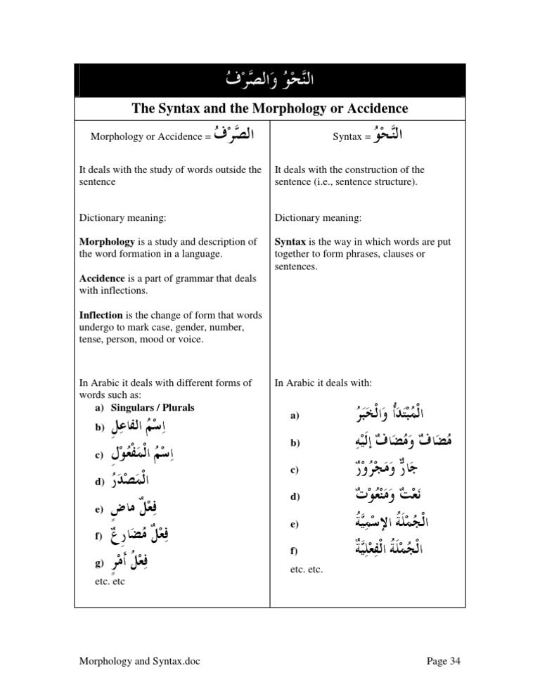 Morphology and Syntax | PDF | Morphology (Linguistics) | Grammar