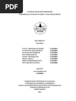 Download Pemeriksaan Vitamin C Pada Buah Jeruk by Isti Nurwahyuni SN138669434 doc pdf