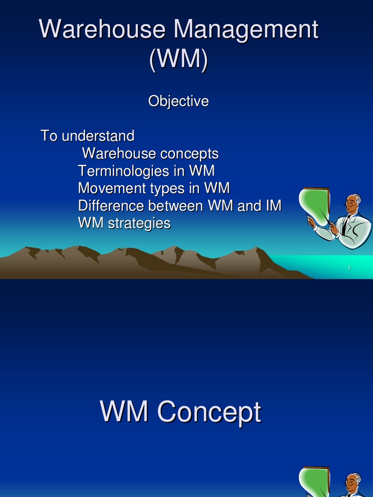 Understanding SAP WM Module Concepts | PDF | Warehouse | Business ...