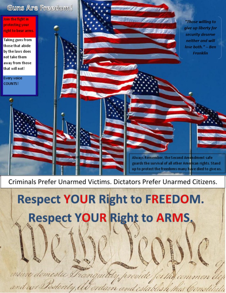 Protect Your Right to Bear Arms | PDF