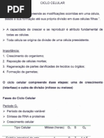 ciclo celular, doenças relacionadas