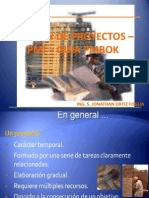 Exposicion - Direc. de Proyectos Pmi ...