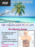 Download Digestive System by Azza SN13874167 doc pdf