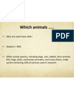 Which Animals