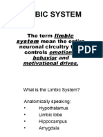 Limbic System Structures B2oB