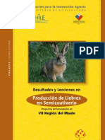 17 Libro LiebreSemicautiverio