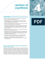 Light Reactions of Photosynthesis_ch4