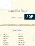 Integumentary System Pathophysiology