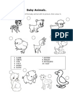 Baby Animals.: 1. Match The Name of The Baby Animal With Its Picture, Then Colour It