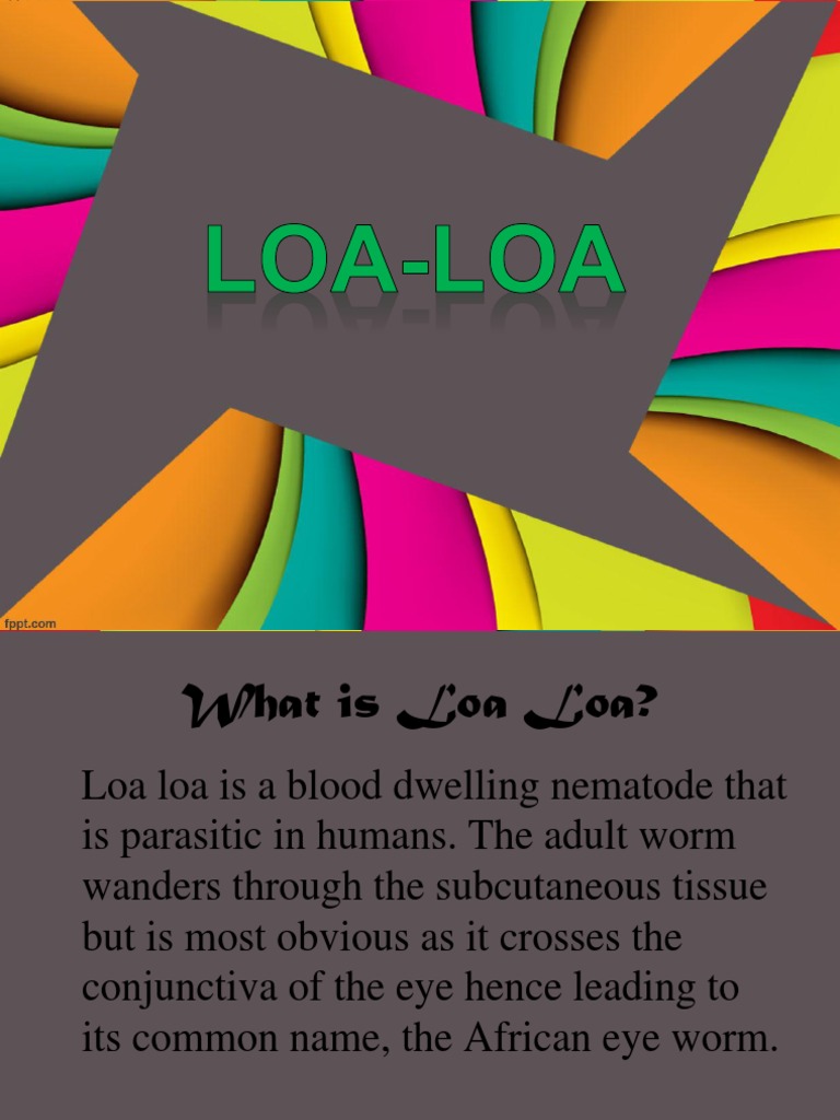 LOA LOA PPT Diseases And Disorders Public Health