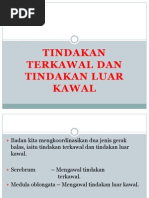 Tindakan Terkawal Dan Tindakan Luar Kawal Pdf