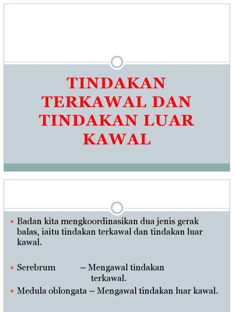 Sistem Saraf Manusia Lessons Blendspace