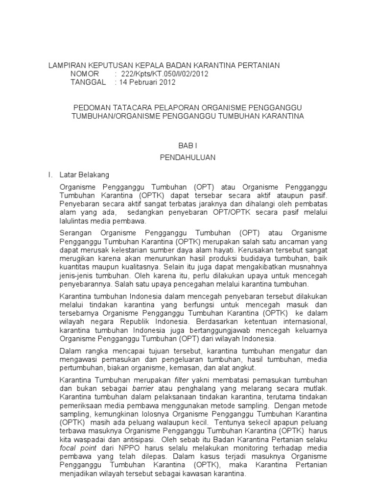 Lampiran Pelaporan OPT-OPTK | PDF | Sains & Matematika
