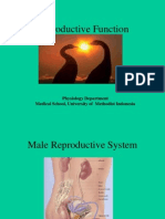 Reproductive Function: Physiology Department Medical School, University of Methodist Indonesia