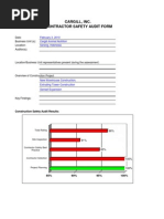 Safety Audit Feb 3 2010