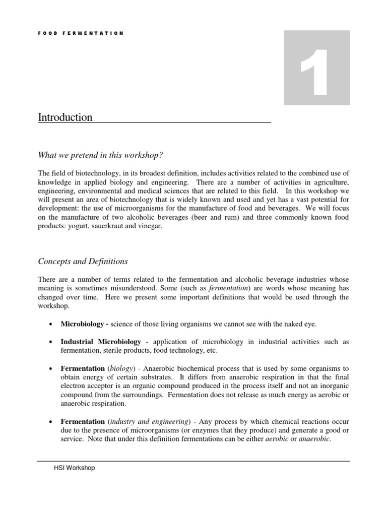 Food Fermentation Workshop Overview | PDF | Fermentation In Winemaking ...