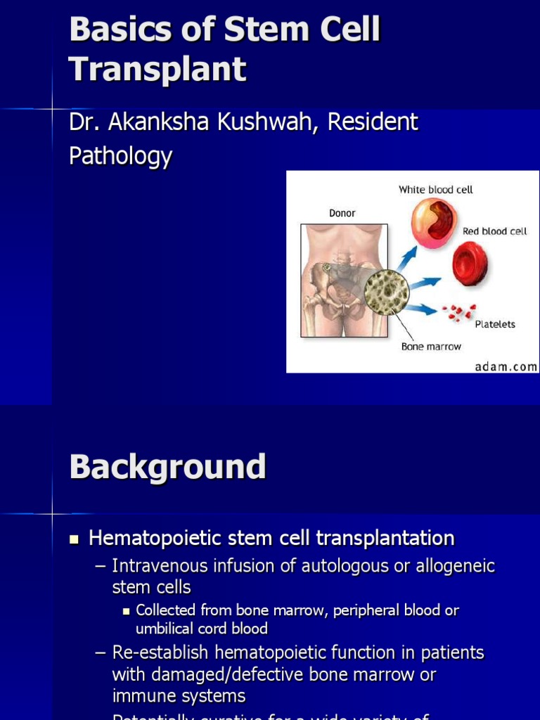 Overview of Hematopoietic Stem Cell Transplant | PDF | Hematopoietic ...