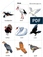 Birds PDF