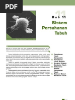 Download Sistem Imun Bab 11 XIIPA by Dewangga Galih SN138876659 doc pdf